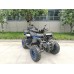 Квадроцикл TaoTao Warrior 200 LUX