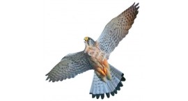Визуально-динамический отпугиватель птиц - Хищник-3