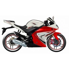 Мотоцикл MotoLand R1 250 PRO (TD250)
